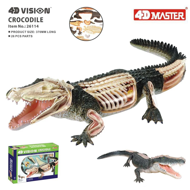 Крокодил 4d мастер головоломка Сборка игрушки животных биология орган анатомическая модель для медиков обучающая модель