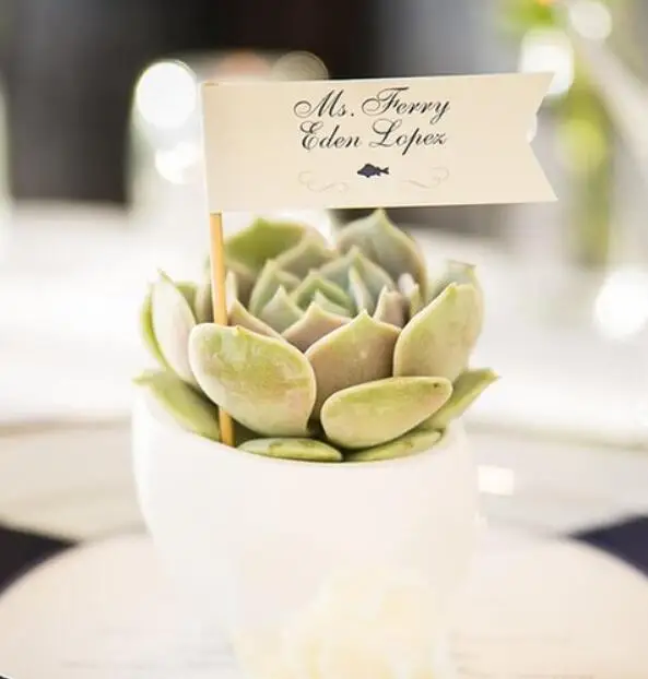 

personalize text succulent favour flags nautical wedding birthday party cupcake toppers Succulent Escort placecards table cards