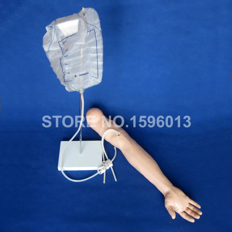 446 IV Arm model (9)