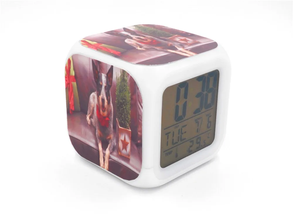 Australian Queensland Heeler Led Alarm Clock 3