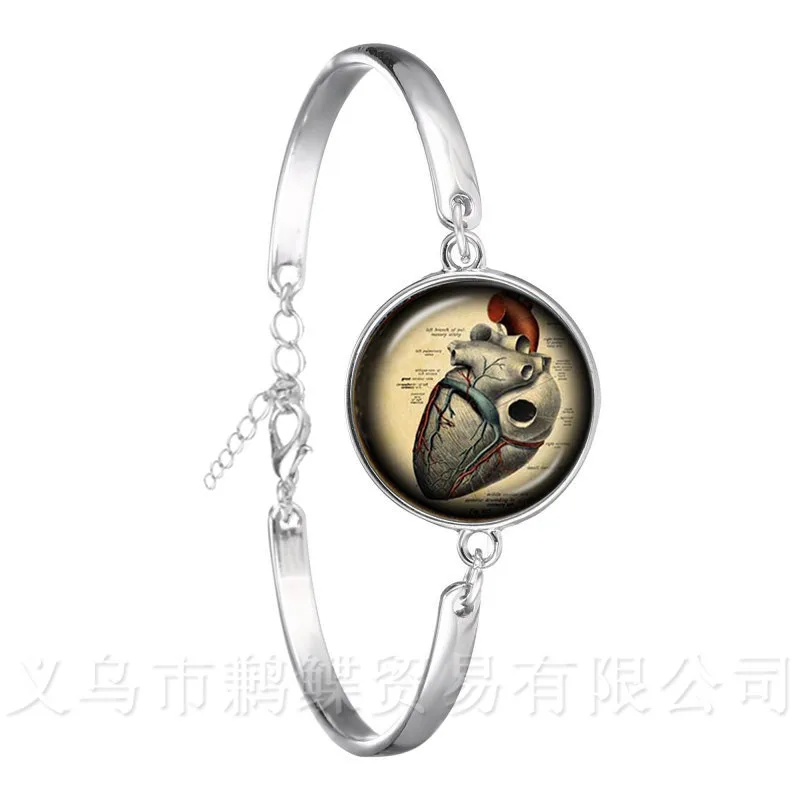 Human Anatomy Organ Bracelet 18mm Glass Cabochon Science Medical Punk Brain Eye Jewelry Silver Plated Chain Bangle Creative Gift | Украшения