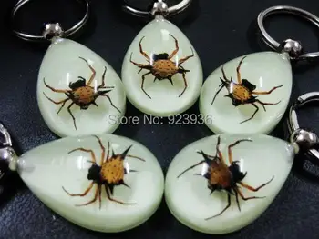 

Free Shipping 12 PCS High Quality Real Spider Angle spider Keychains,Man Car Ornament Gift Insect Token Remembrancer Souvenir