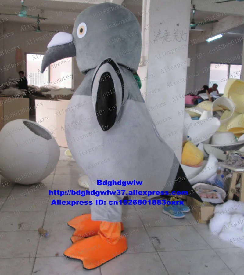Домашний голубь в костюме