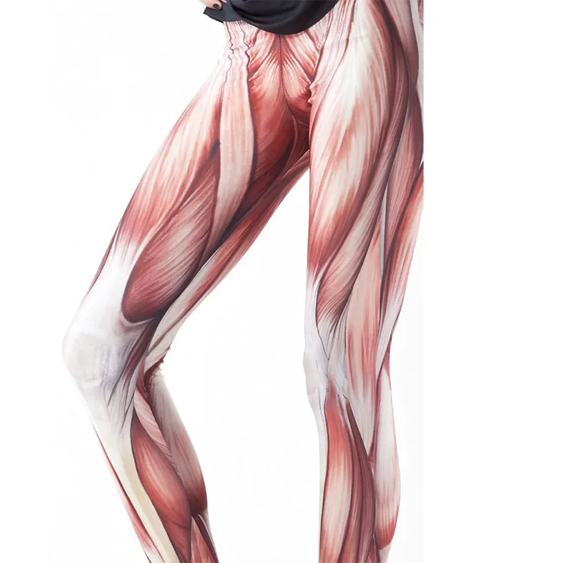 Женские леггинсы с 3D принтом сексуальные DDK030209 2016|printed leggings|women leggingssexy leggings |
