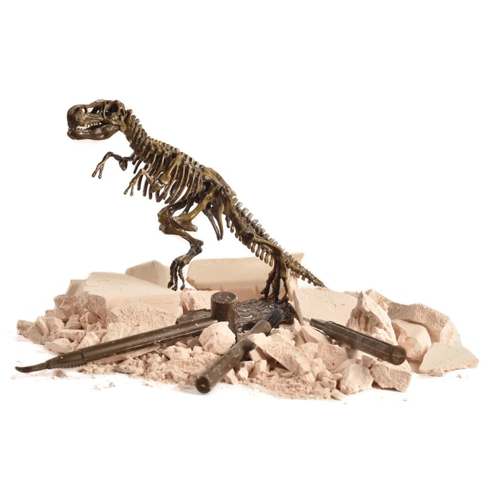 dinosaur skull dig kit
