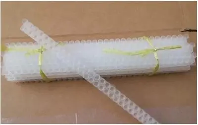

ZSTPETFARMBeekeeping Appliances Plastic) Queen Cell Double Row Article Queen Cell. Royal Jelly Size Tool Box