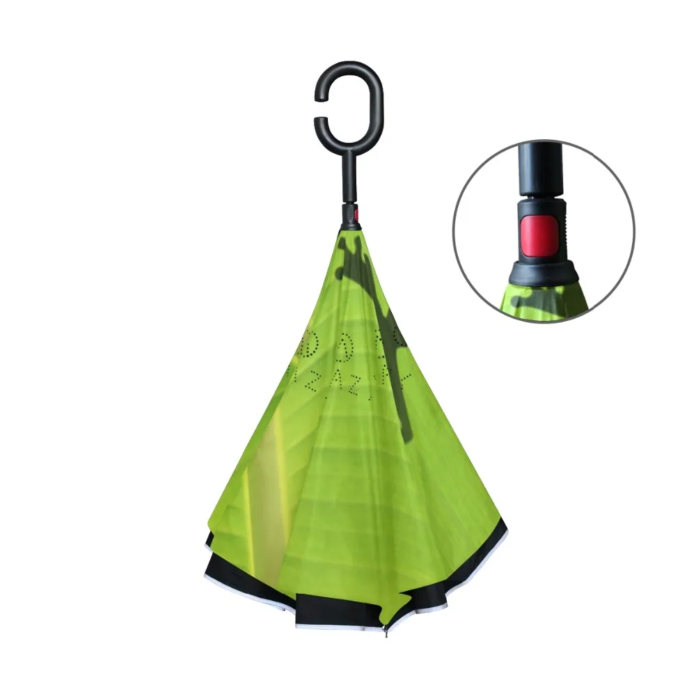 g2697159p183c217s313_2