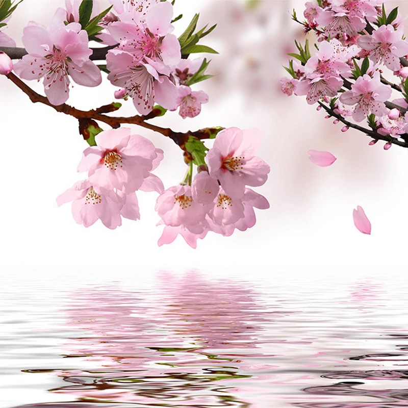 renovacao da casa 04