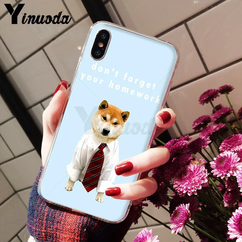 Animal Shiba Inu