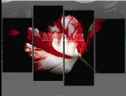 4PCS-four- (33)