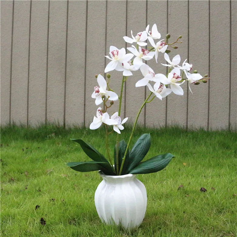 1 шт., настоящее прикосновение, латекс, искусственная Орхидея, Юго-Восточная Азия, Орхидея, дендробия, высокое качество, искусственный цветок, без вазы