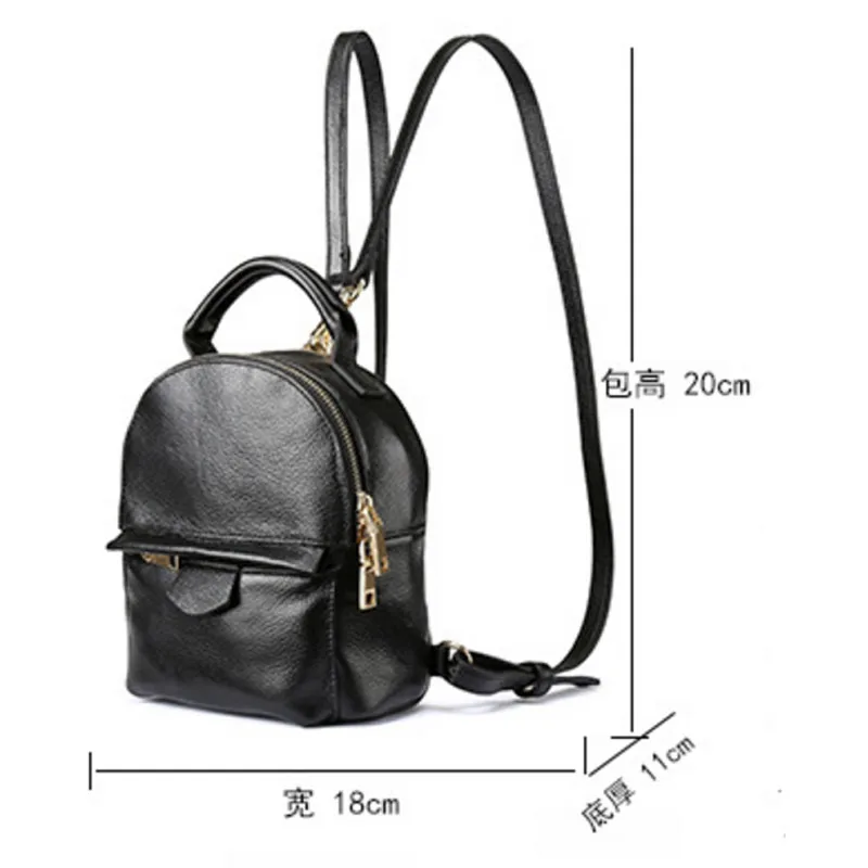 BL241Black05