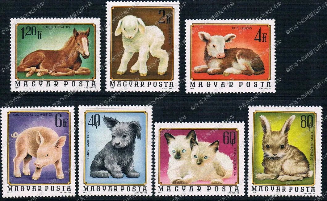 H0066 1974 Hungarian family pet small animal stamps 7 new 0119in