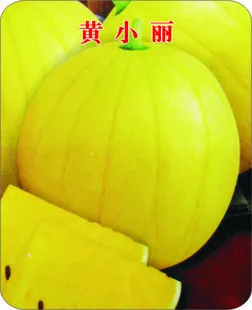 

Huang Xiaoli yellow yellow soil healthy vegetable bonsai watermelon bonsai 20 pcs