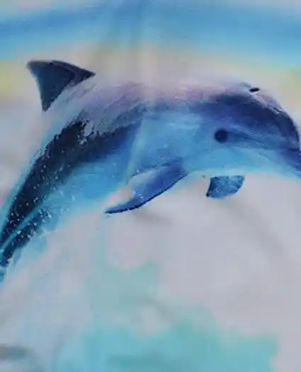 dolphin swimming costume