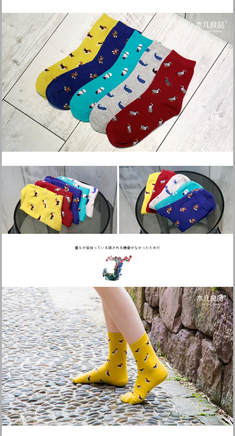 2471665721_1523979896