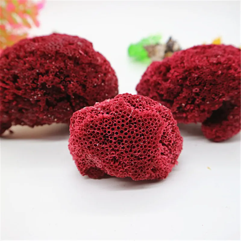 Natural Sea Red Coral Fish Tank Aquarium Landscaping Furnishing Natural Ornament Marine Sea Home Wedding Decoration4