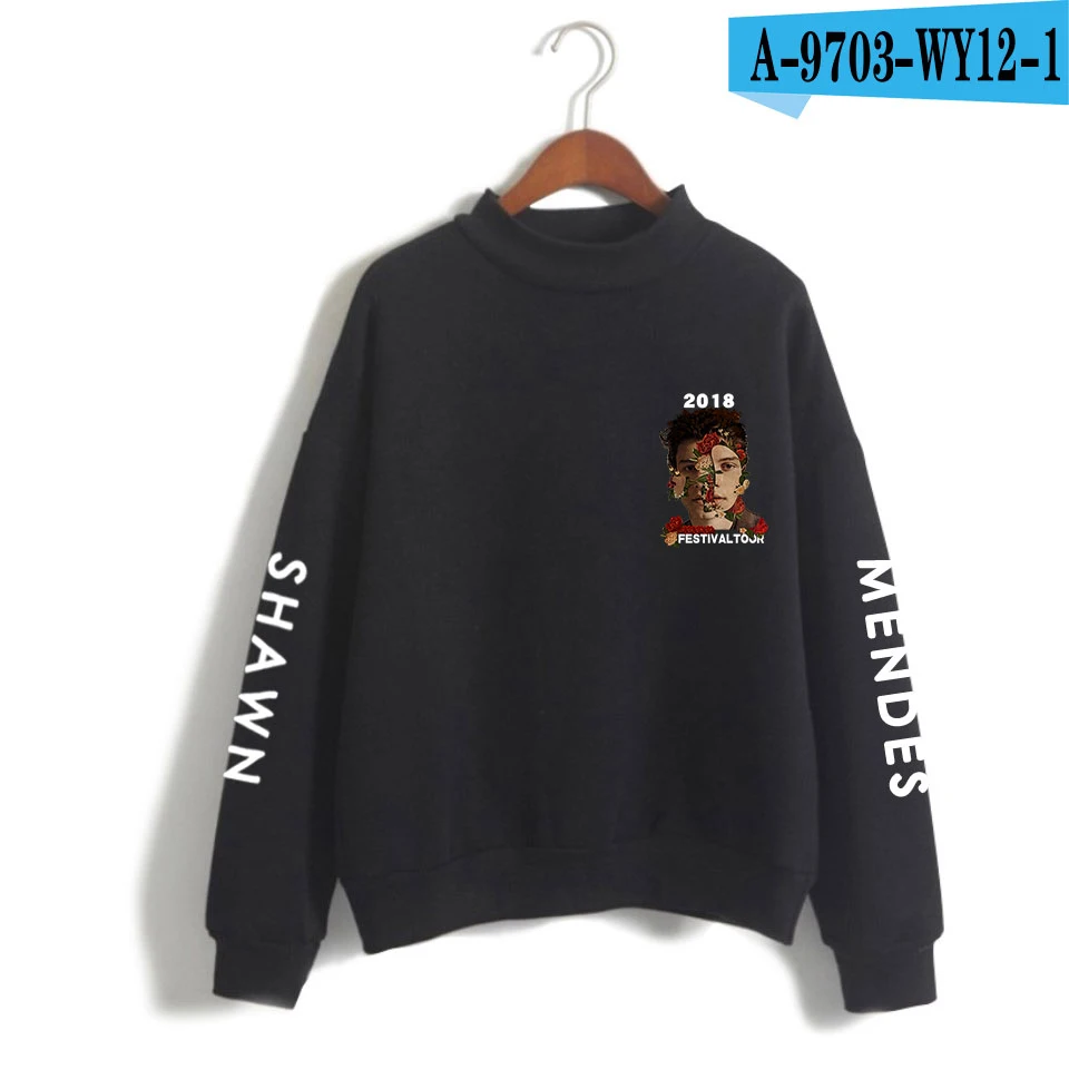 shawn mendes festival hoodie