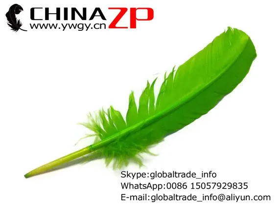 Quill Feathers, 6 Pieces - LIME GREEN Turkey Rounds Quill Feathers