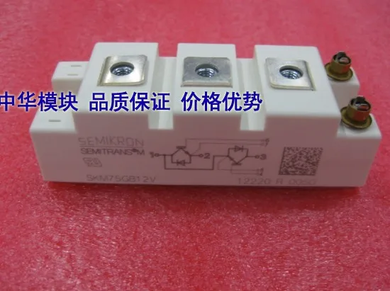 

SKM75GB12T4 SKM75GB12V Germany--ZHMK