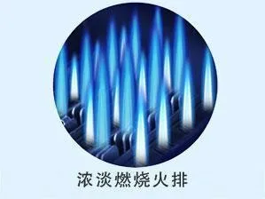 u=483782947,4072509294&fm=23&gp=0