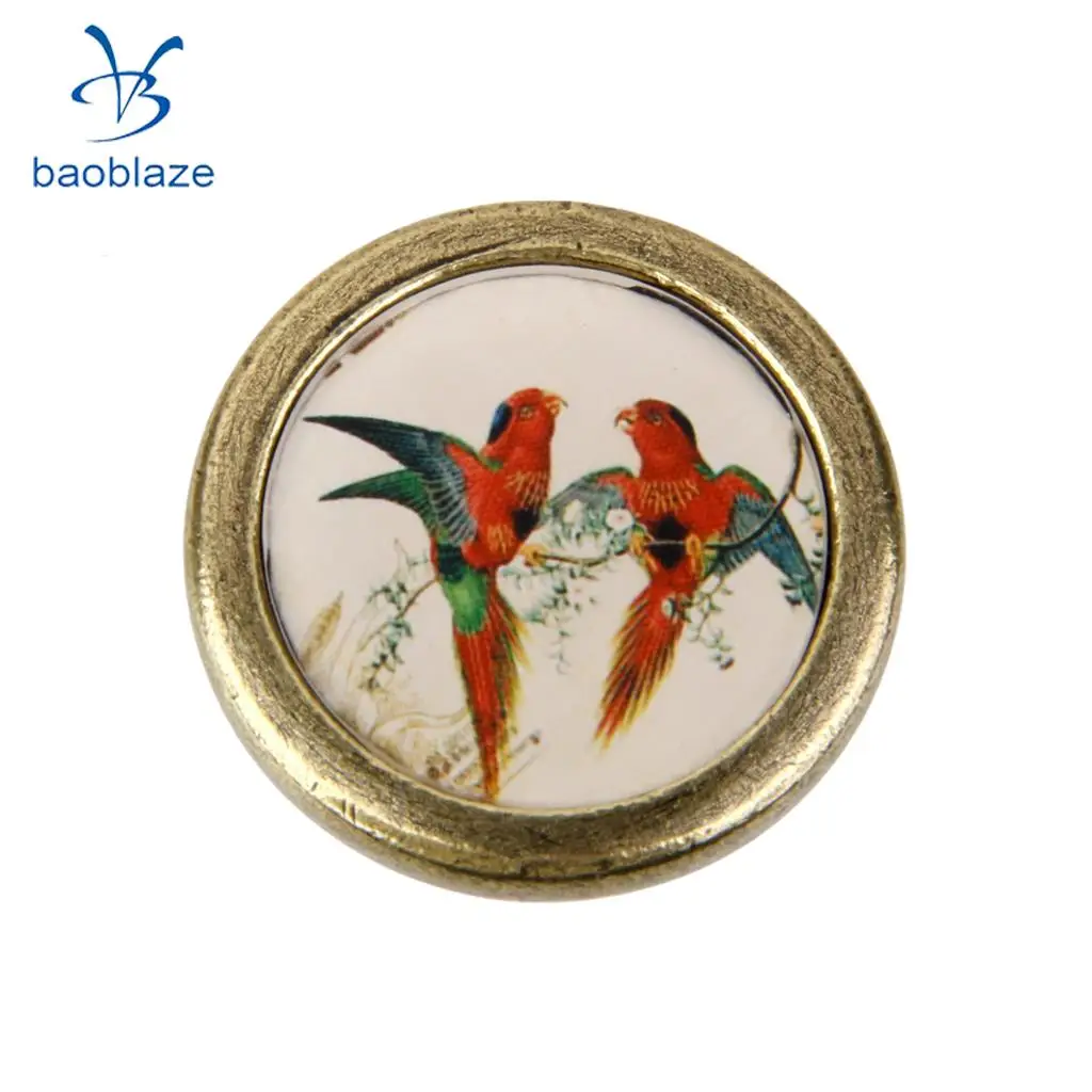2 Pieces Antique Brass Cabinet Drawer Round Pulls Wardrobe Cabinet Door Cupboard Knob Handle Colorful Birds Pattern