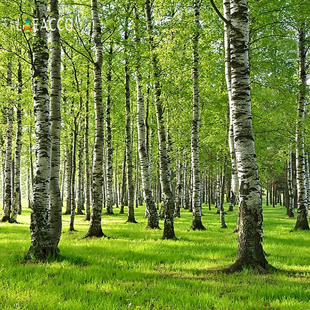 Laeacco весенний зеленый лес деревья Луг пейзаж фотографии фоны индивидуальные фотографические фоны для фотостудии