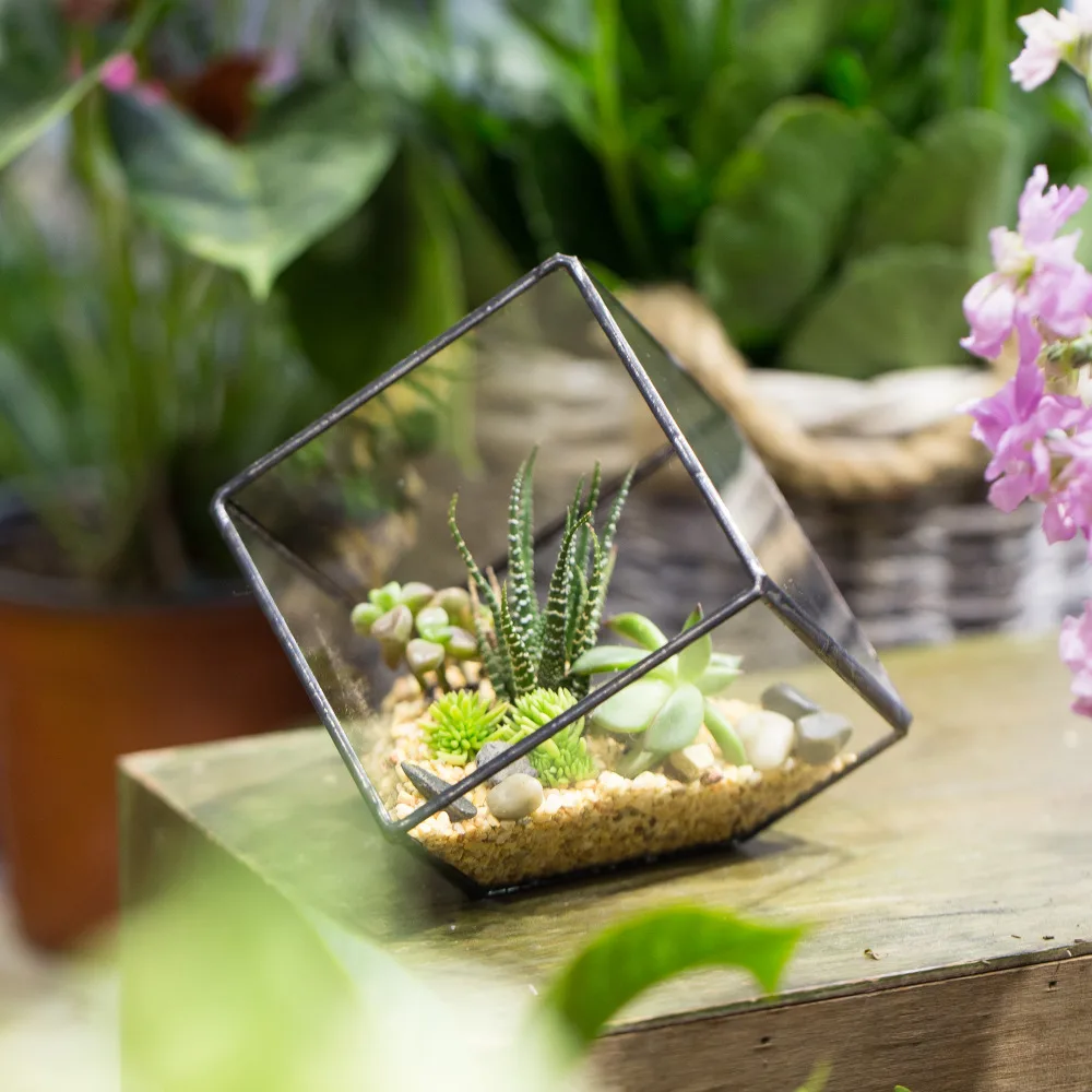 Handmade Tabletop Succulent Plant Micro Landscape Terrarium Bonsai Polyhedron Clear Glass Geometric Terrarium Box Balcony Pot