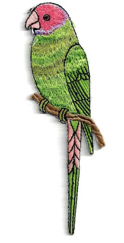 

Free Shipping ~ Tropical Parrot, Green w Pink Embroidered Iron On Patch ~ can be sewed ~ DIY accessory Applique