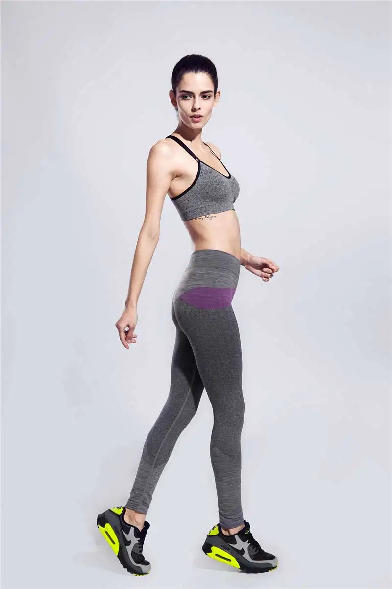 grey-pueple-1