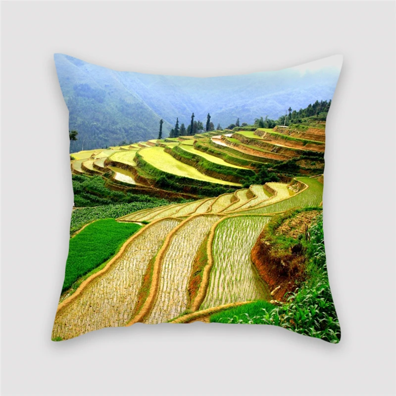 PC04668
