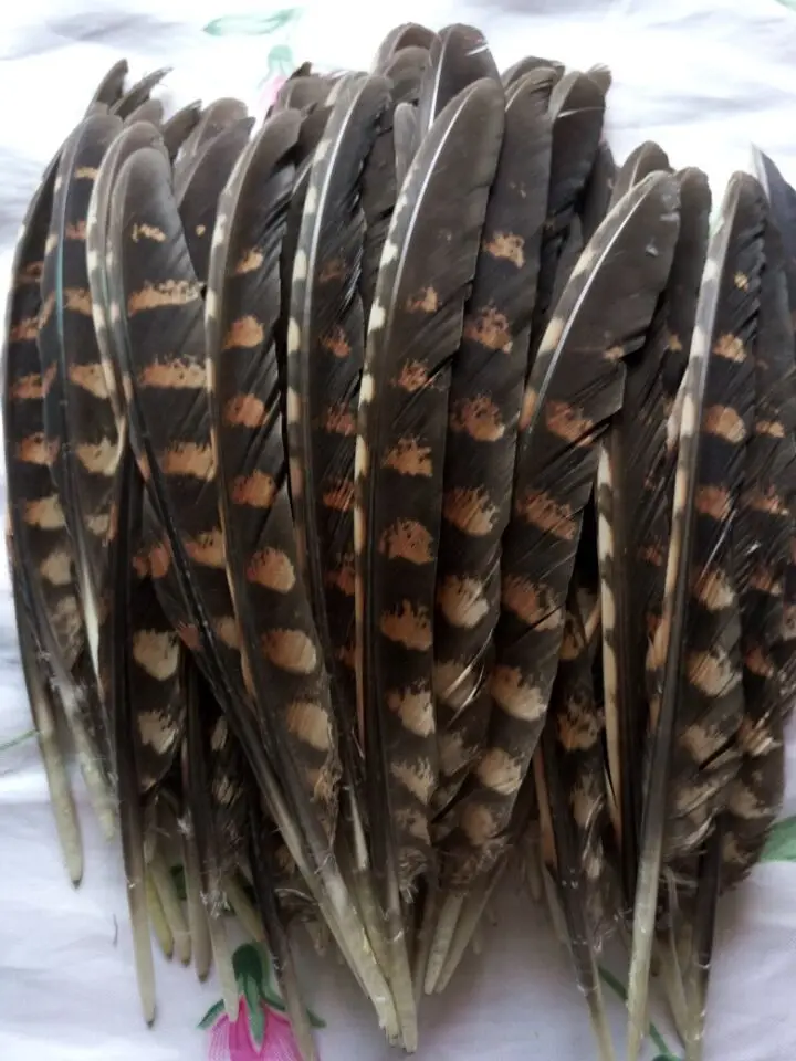 

wholesale Scarce 10pcs Quality natural Pheasant feathers 20-25cm / 8-10inch