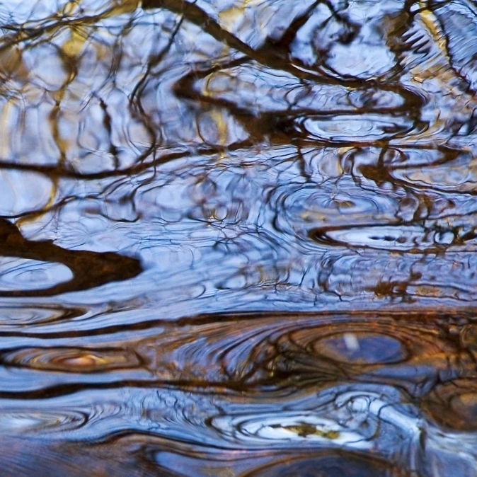 Melusina  Rhode Island  Bristol  Blithewood  Ripples And Reflections On Water Surface. Poster Print (34 x 22)