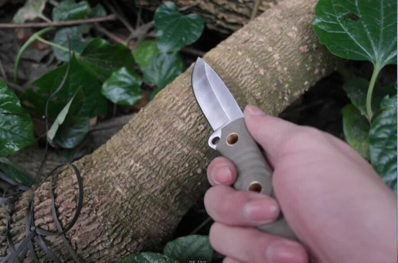 1837741408_742635196