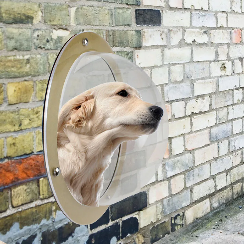 Acrylic Pet Dog Cat Door Space Window for Wall Security Flap Gate Pet Tunnel Peephole Dog Fence Window for Home Treat Pet Autism7
