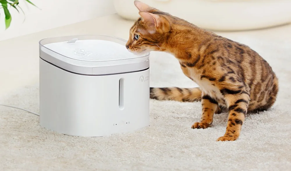 2019 Xiaomi Kitten Puppy Pet Water Dispenser Smart Dog Cat Electric Drinking Bowl Fountain Automatic Cat Living Water 2L (5)