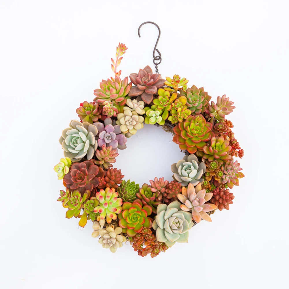 

Holder Home Simple Iron Wreath Flower Pot Garden Decoration Black Balcony Wedding Succulents Hanging Basket Heart Shape