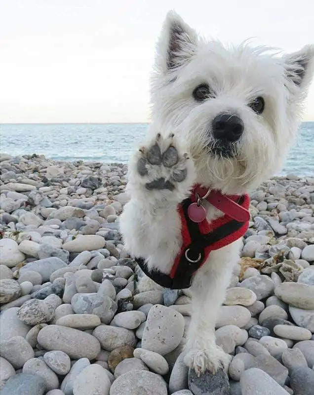 42e3e695a5f8a8c74160cd188d133a8d_2000x