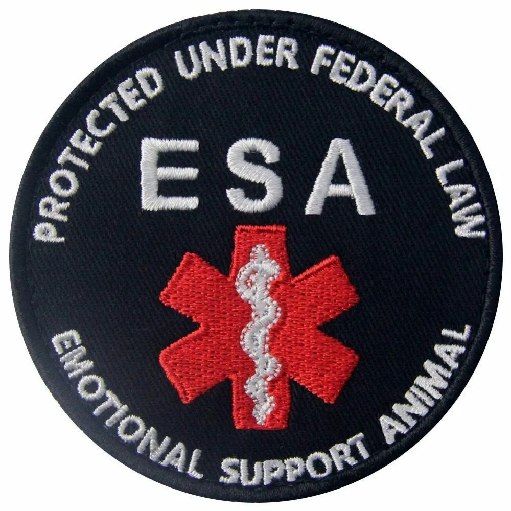 

Custom embroidery patch Embroidered patches Hook Loop transfers Badges personalize logo promotional gifts Welcome to customize