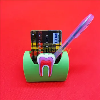 

Cute Dental Card Holder Colorful Rubber Teeth Molar Shape Phone Card Name Storage Dsiaply Stand For Clinic Dentist Gift