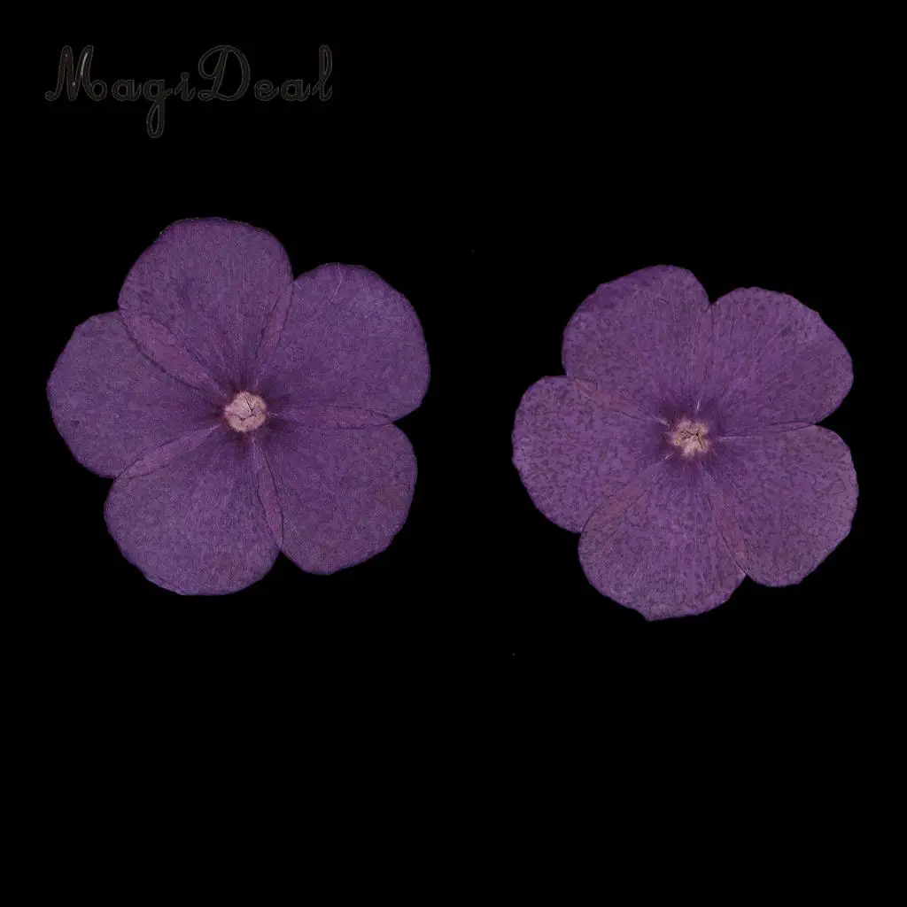 12 Pieces Natural Dried Flowers Real Flower Amaranthus for Kids Craft Card Making DIY Pendants Charms Jewelry