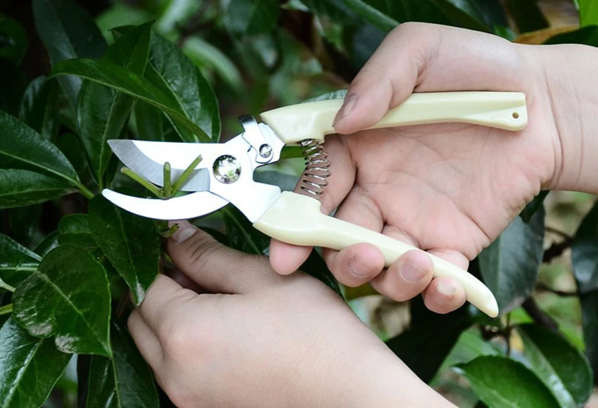 O1CN011Q1ZJFew1DNEl6b_!!2261571916