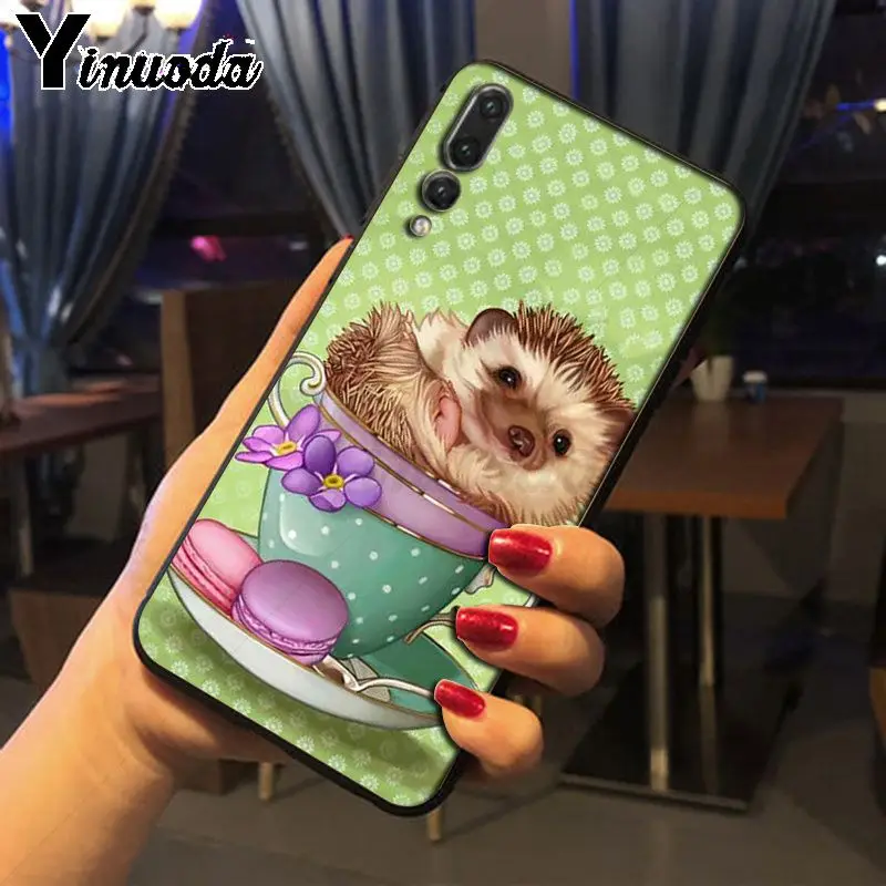 Hedgehog ride a bike Cute in Teacup Animal Art