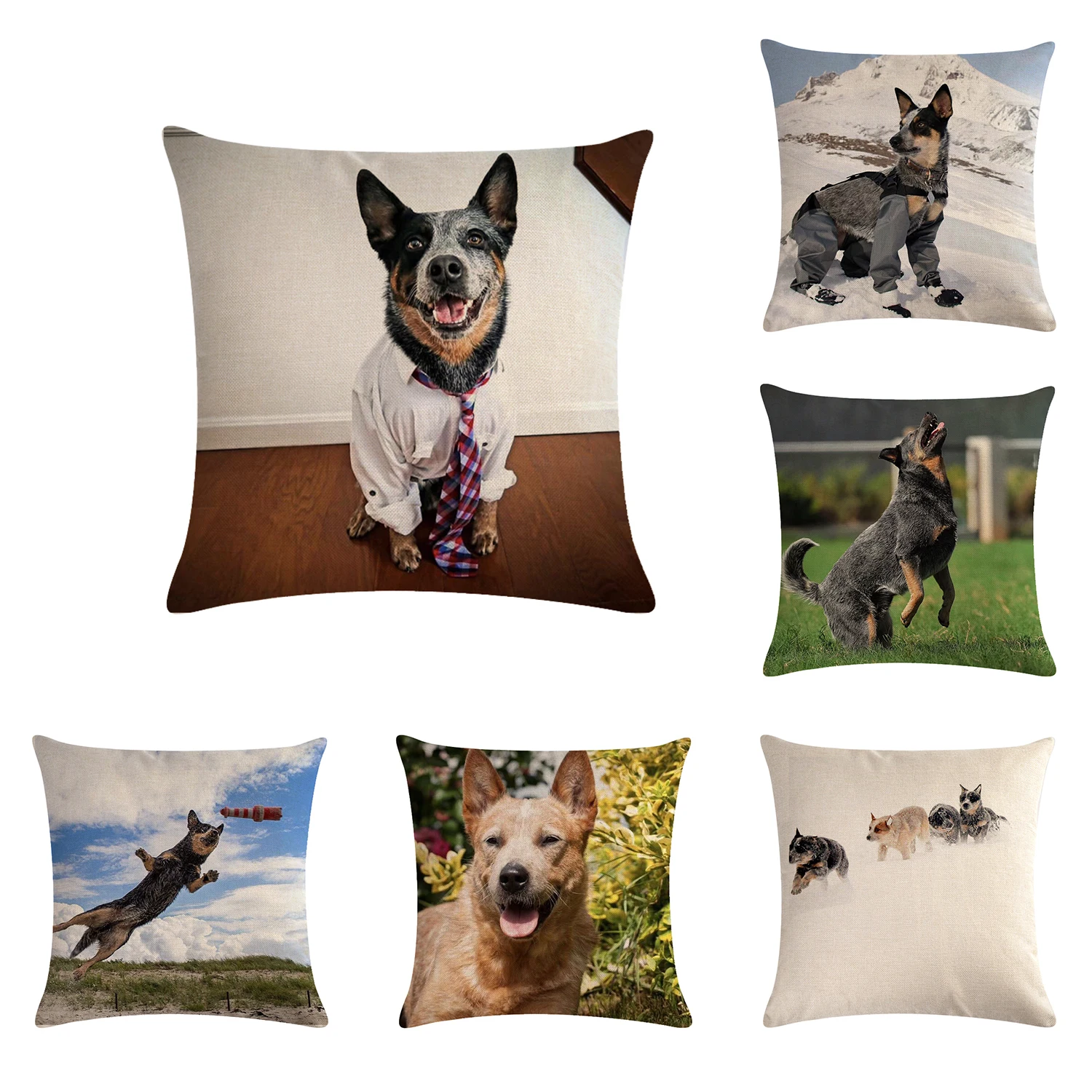 

Blue Handsome Australian Shepherd Dog cushion Cover Handsome Fashion Decoration Home Pillow Cover 910