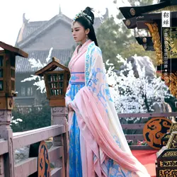 Розовый Синий принт Diao Chan Hanfu костюм театральный китайский герой-Zhao ZiLong из трех царств период Театральный Костюм Hanfu для женщин