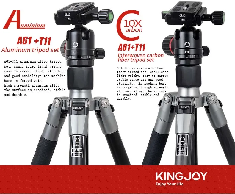 A61-A81+T11_03