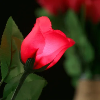 

Lighting Roses,flower magic tricks online,Christmas wholes Magic light up rose magic tricks