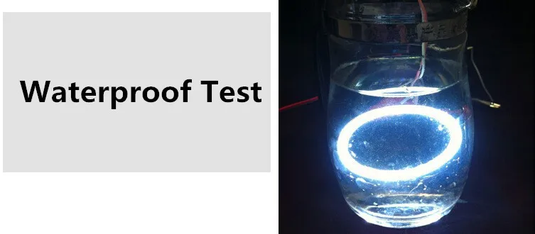 2377680196_661584684