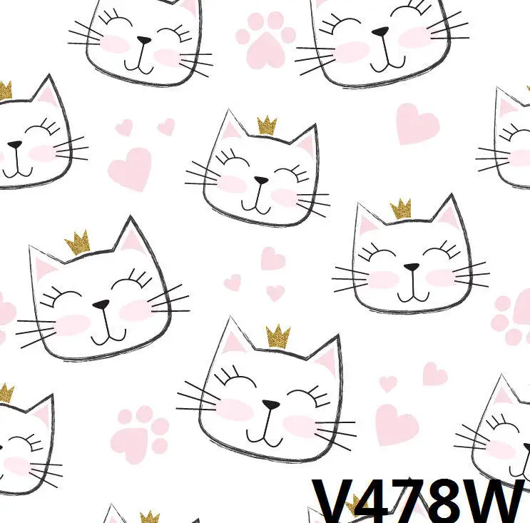 V478W_