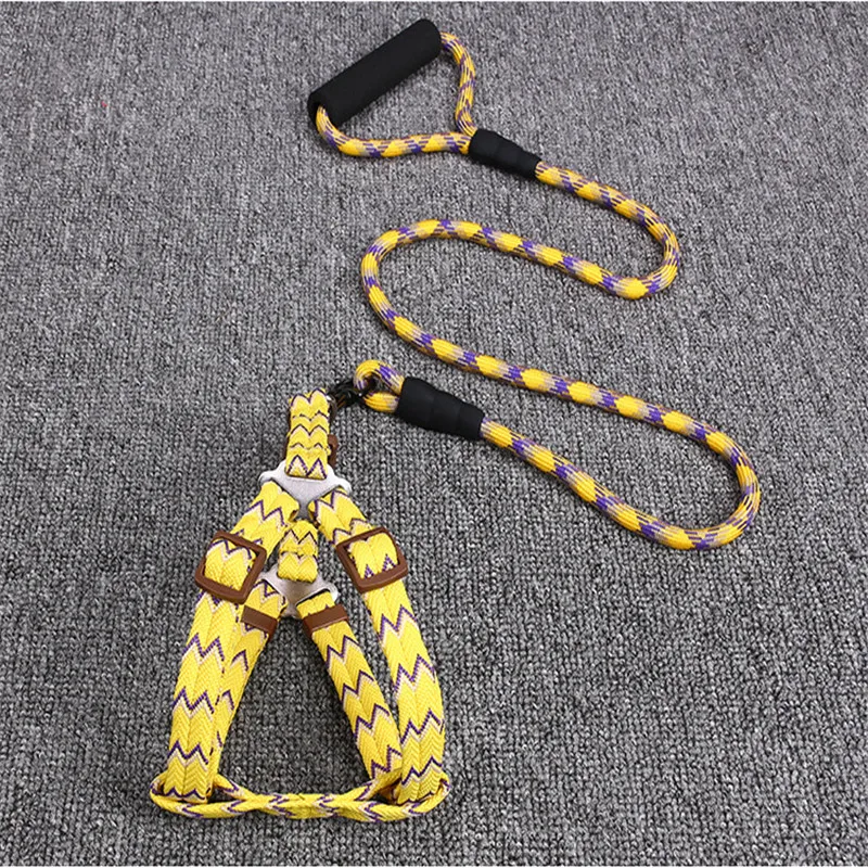 9009851321_1693295712